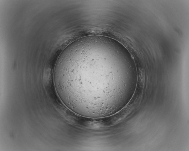 X0000112780511200908201531