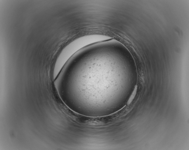 X0000112780512200908201531