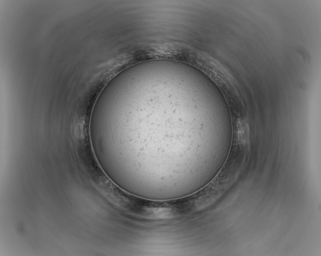 X0000112780514200908201531