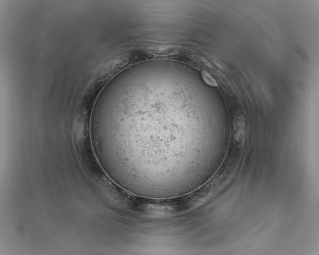 X0000112780515200908201531