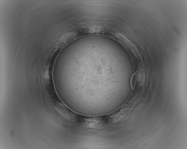 X0000112780516200908201531