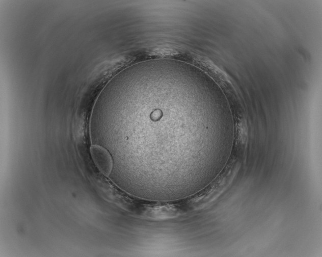 X0000112780517200908201531