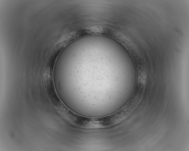 X0000112780518200908201531