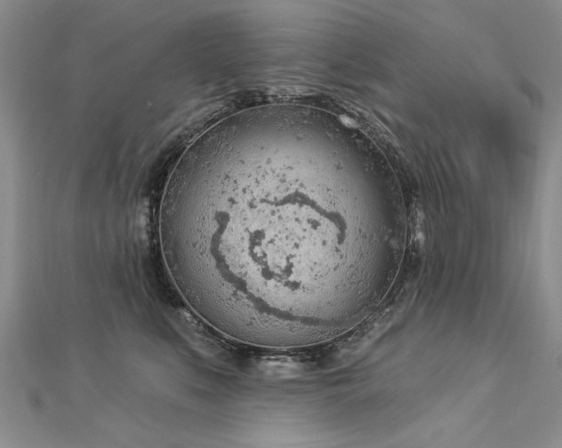 X0000112780519200908201531