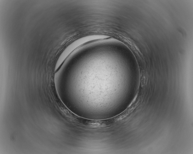 X0000112780521200908201531