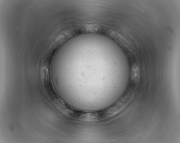 X0000112780522200908201531