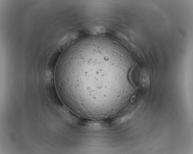 X0000112780523200908201531