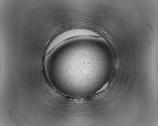 X0000112780524200908201531