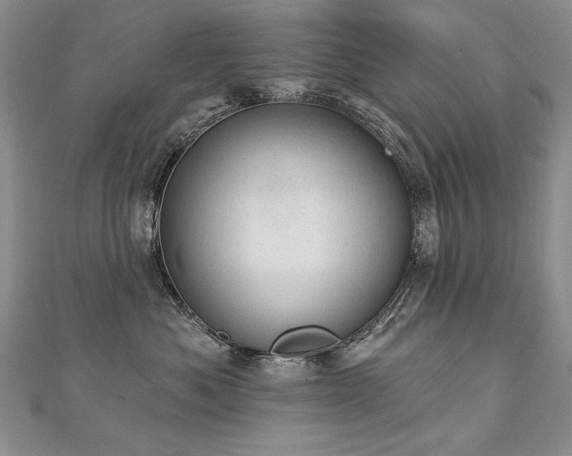 X0000112780525200908201531