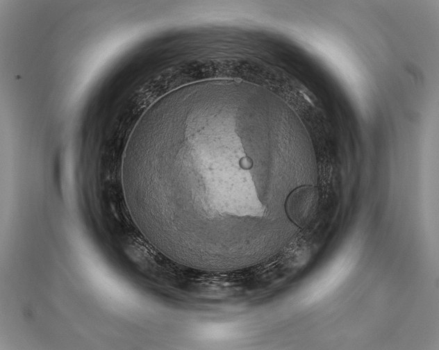 X0000112780526200908201531