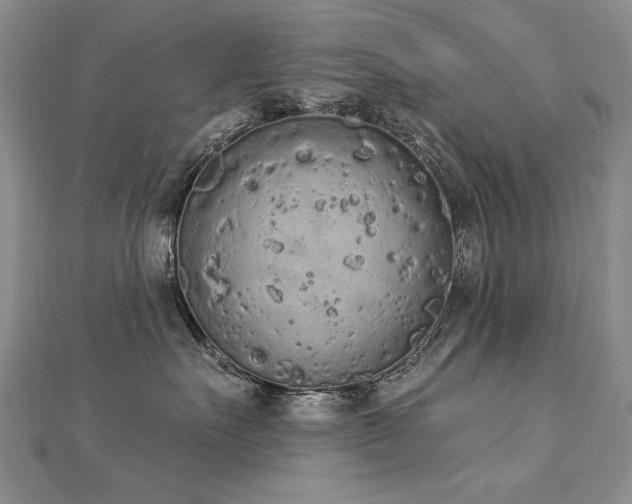 X0000112780527200908201531