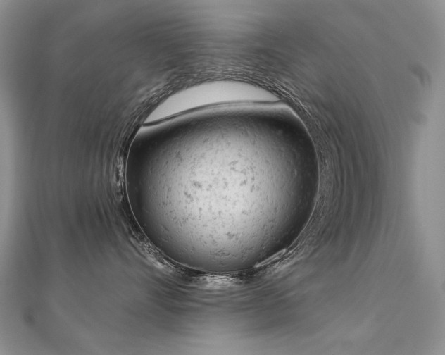 X0000112780528200908201531