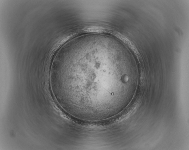 X0000112780529200908201531