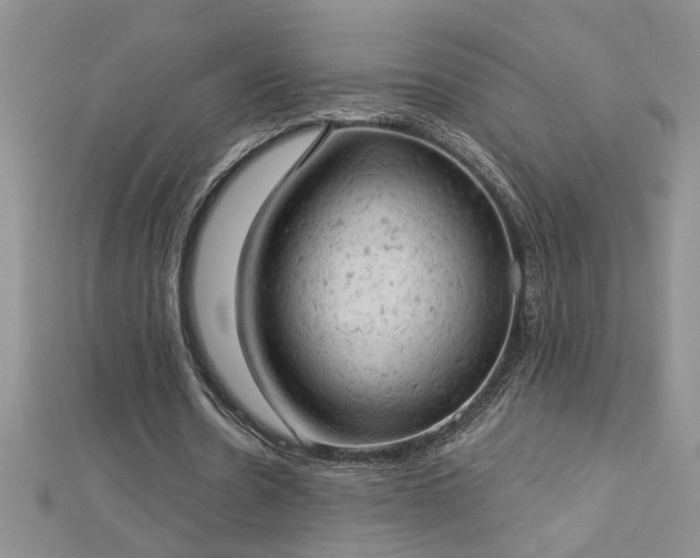 X0000112780530200908201531