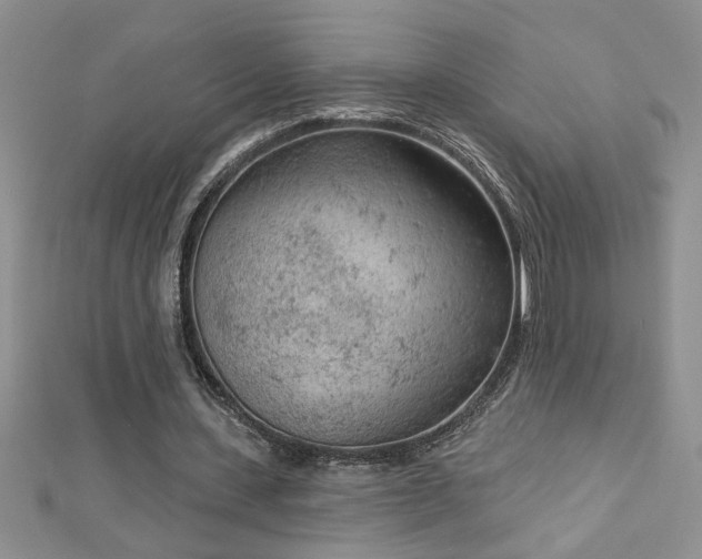 X0000112780531200908201531