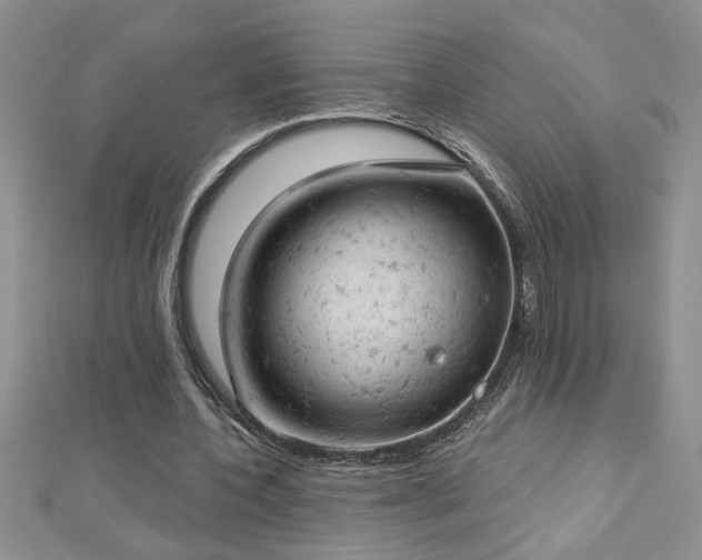 X0000112780532200908201531