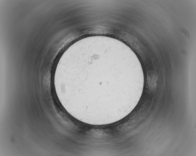 X0000112780534200908201531