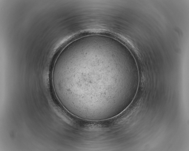 X0000112780535200908201531