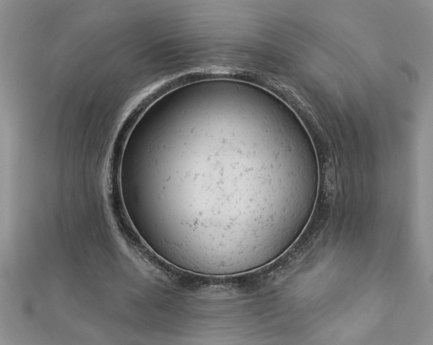 X0000112780536200908201531