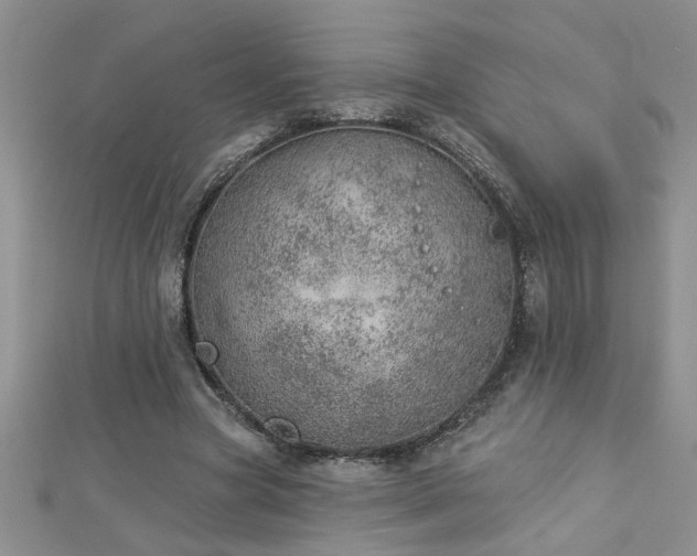 X0000112780537200908201531