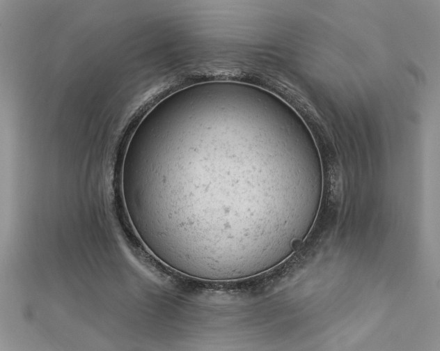 X0000112780538200908201531