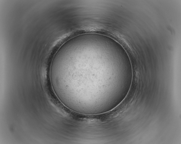 X0000112780539200908201531