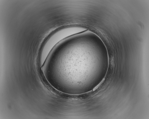 X0000112780540200908201531