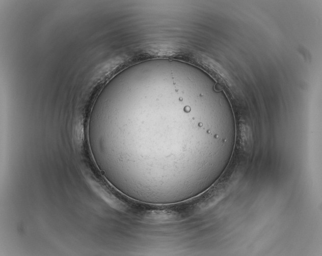 X0000112780541200908201531