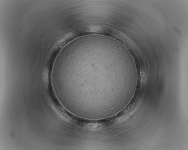 X0000112780542200908201531