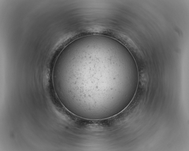 X0000112780544200908201531