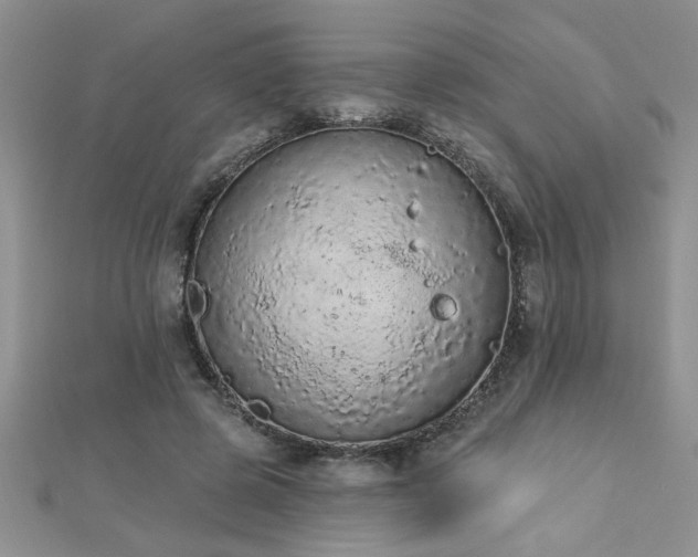 X0000112780545200908201531