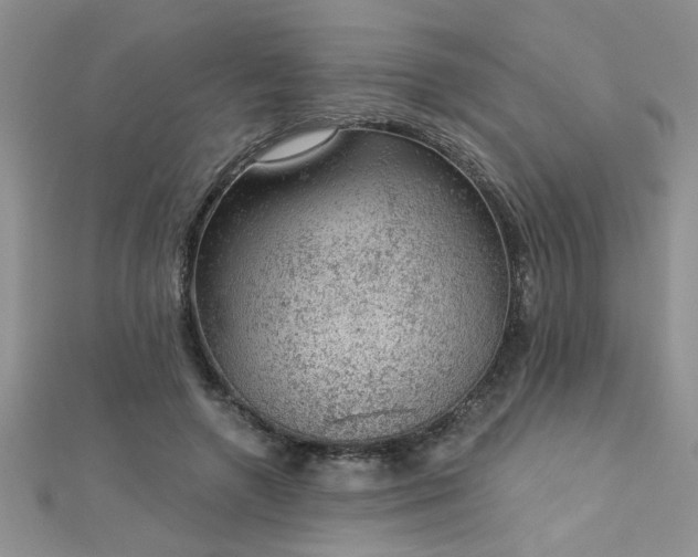 X0000112780546200908201531