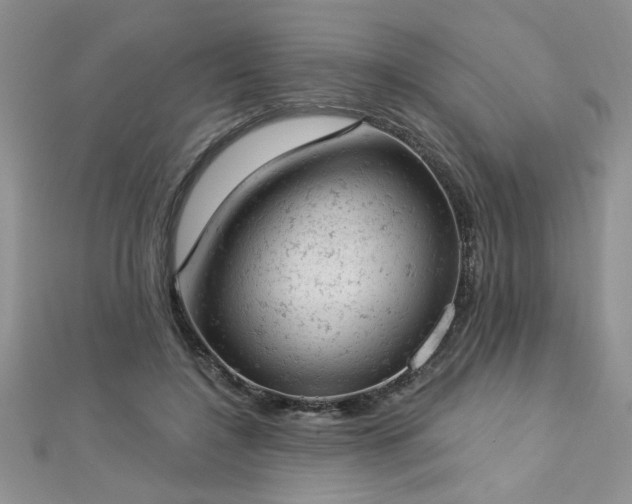 X0000112780548200908201531