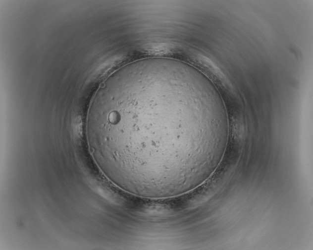 X0000112780549200908201531