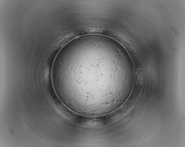 X0000112780550200908201531