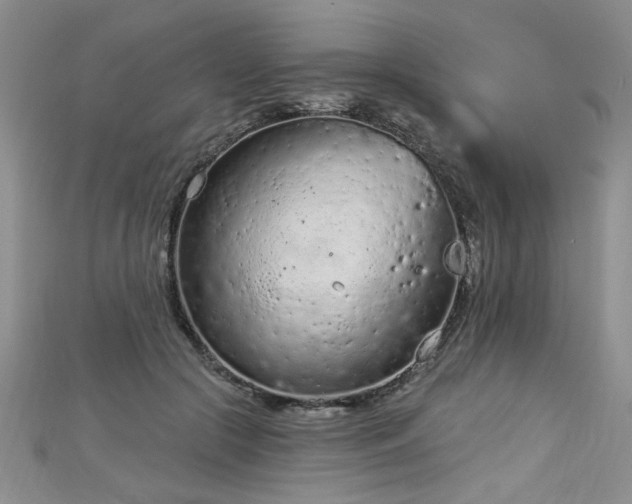 X0000112780553200908201531