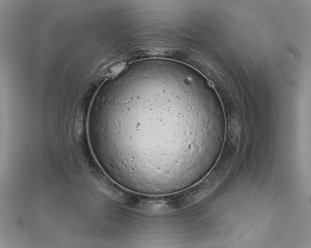 X0000112780554200908201531