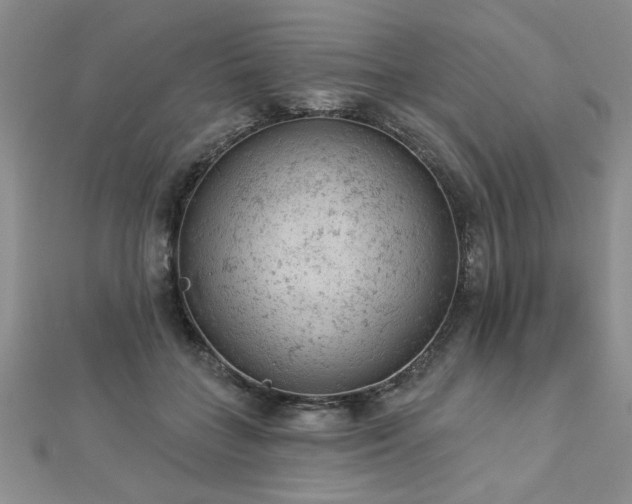 X0000112780555200908201531