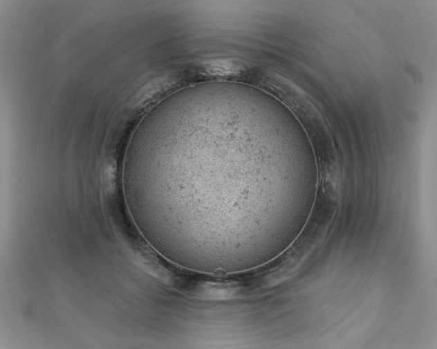 X0000112780556200908201531