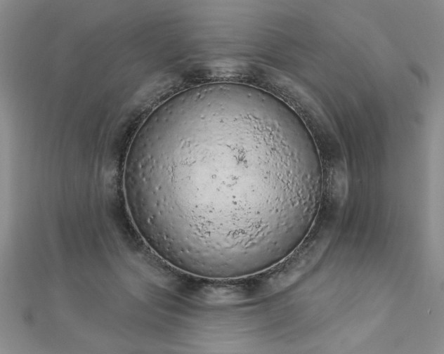 X0000112780557200908201531