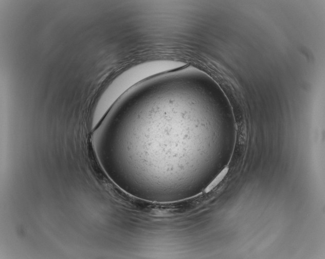 X0000112780560200908201531