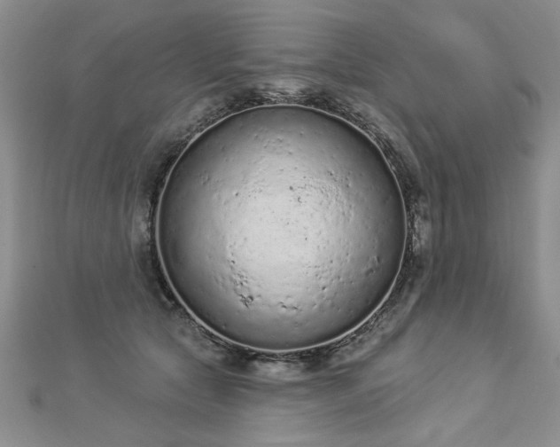 X0000112780561200908201531