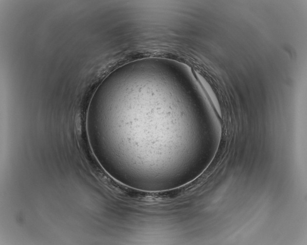 X0000112780562200908201531