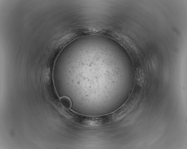 X0000112780563200908201531