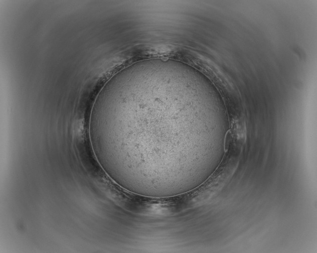 X0000112780564200908201531