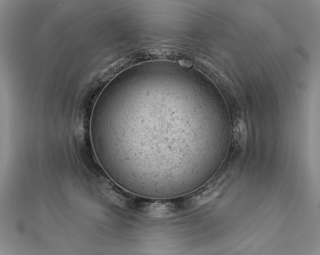 X0000112780566200908201531