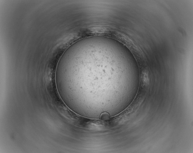 X0000112780567200908201531