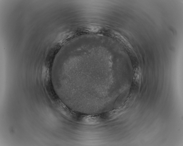 X0000112780568200908201531