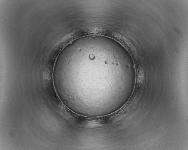 X0000112780569200908201531