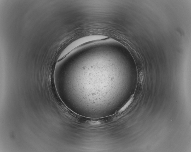 X0000112780570200908201531